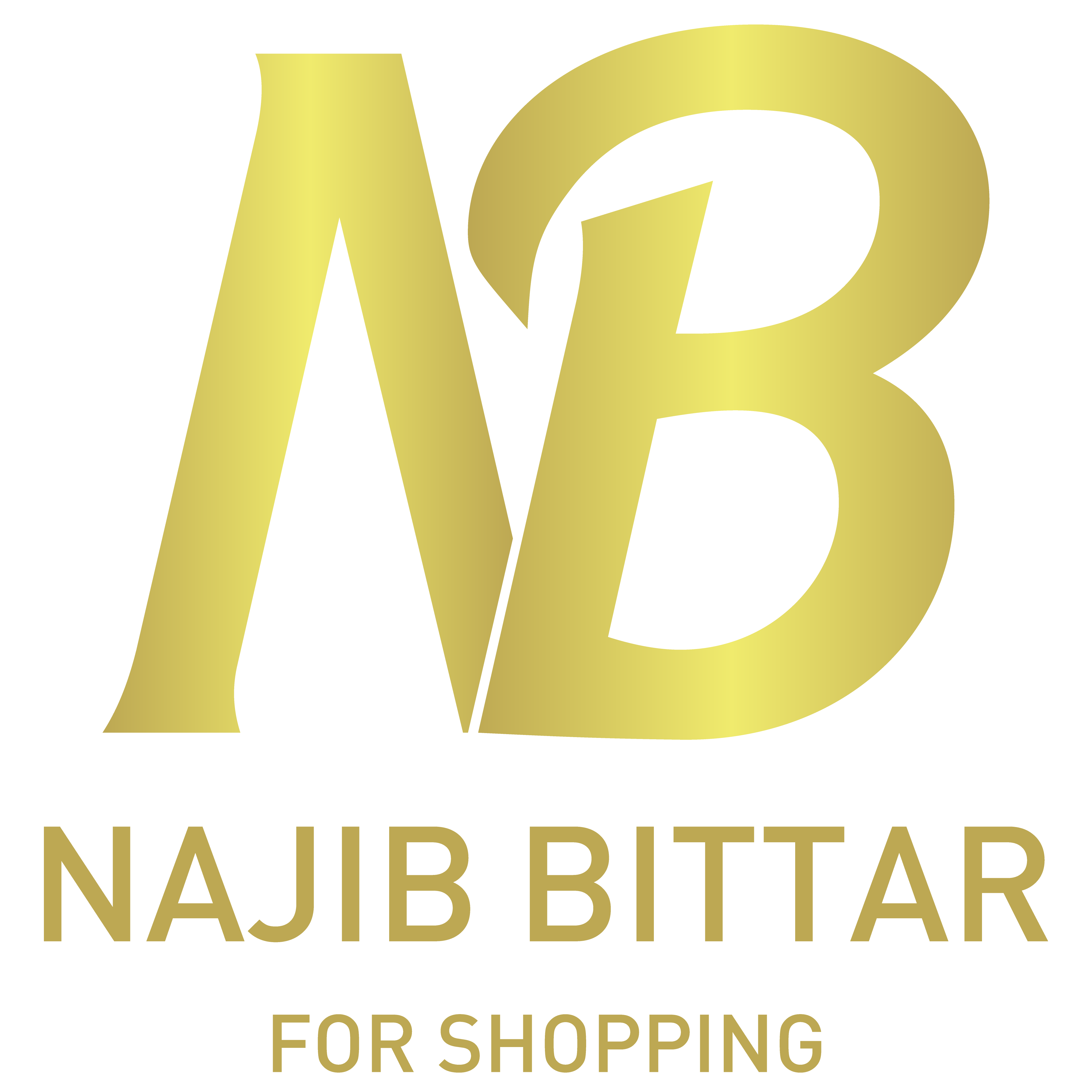 شركة نجيب بيطار